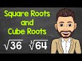 Exploring Square and Cube Roots