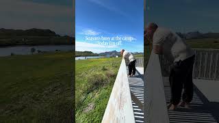How a morning in Lofoten looks like