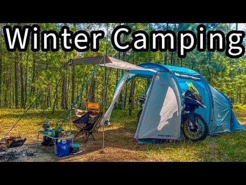 Winter Group Camping in Uttarakhand Forest | Camping in India | #ridingwithpeace