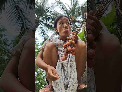 Where is my litchi gone