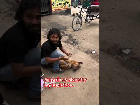 #StreetDogRescue #ViralVideo #DogCare #AnimalRescue #DogMedicine #PetRescue #InstaDogs #DogHealing