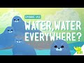 Freshwater Adaptations and Importance