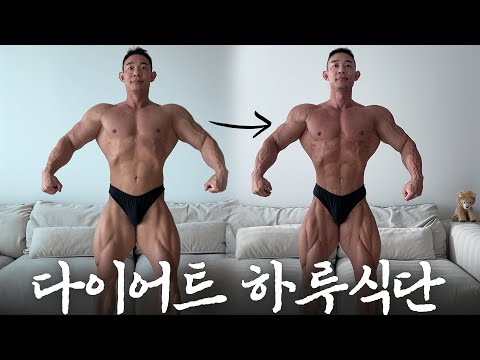 누구나 쉽게 따라할수 있는 하루 다이어트식단 VLOG