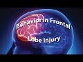 Frontal Lobe Injury Recovery Insights