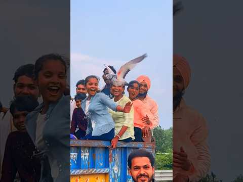 सब खुश हो गए कबूतर को देखकर🕊️😍 #full #public #reaction #कबूतर #viral #video #कबूतर #kabooter #love