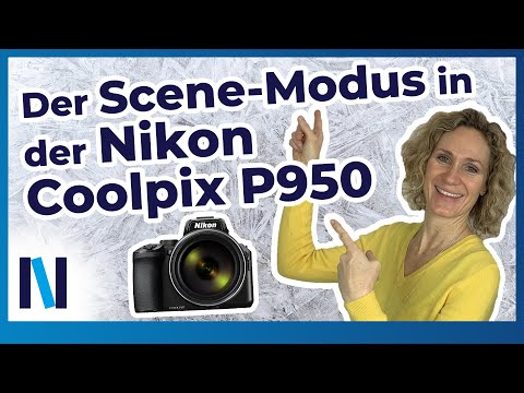 (GERMAN) Nikon Coolpix P950: Automatik-Programm oder Scene-Modus?