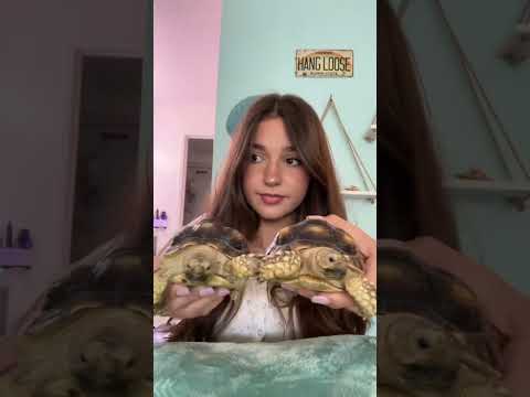 Animals ❤️ / Eva Miller TikTok #evamiller #tiktok #shorts #video #trending #ytshorts #short