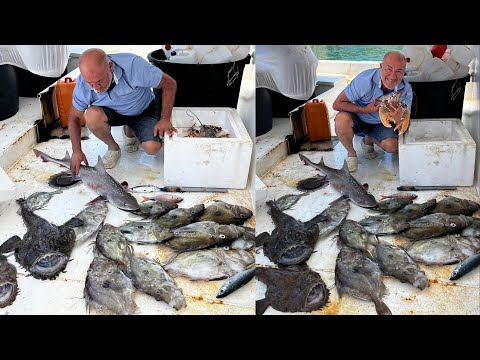 DÜLGER BALIĞI SEZONU AN İTİBARIYLA BAŞLADI!