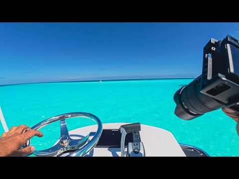 Sandbar & Offshore Fishing {WHOLE COOKED FISH} catch and cook