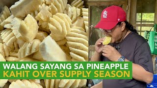 Walang Sayang sa Pineapple: Ripe, Half-Ripe, Skin, Eyes, Leaves, Even During Over Supply Season