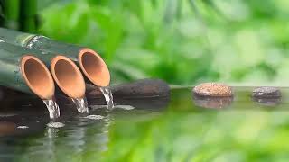 Música relajante 🎵 Música para dormir 💤 Música para aliviar el estrés, Spa, Meditación, Yoga