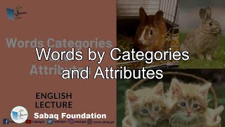 Words by Categories and Attributes