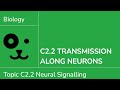 Neural Signaling and Impulse Transmission