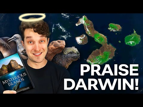 I went to Ecuador to prove a point | Reacteria/Valkations
