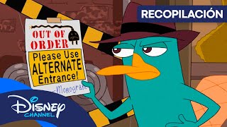 PHINEAS Y FERB: El mejor agente: el Agente P 😎 | RECOPILACIÓN | @disneychannelES