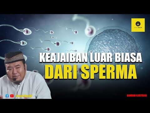 Sejarah Terbentuknya Manusia dalam Rahim Wanita - Ustadz Abu Humairoh