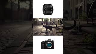 Lumix S 40mm f2 + S1RII
