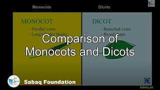 Comparison of Monocots and Dicots
