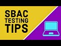 Test Preparation Strategies and Mindset