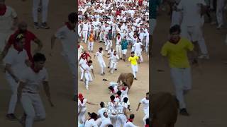 Suelta Vaquilla Con Imprevisto A Joven San Fermines 26’ #shorts