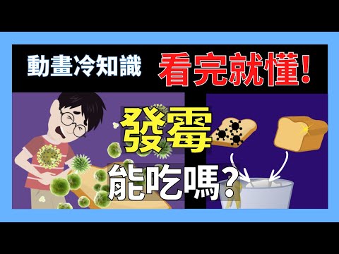 吃發霉麵包可能得肝癌!?黴菌有多危險■小冷知識科普 動畫 - YouTube