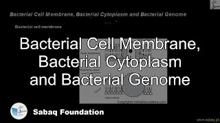 Bacterial Cell Membrane, Bacterial Cytoplasm and Bacterial Genome