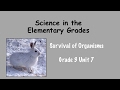 Animal Adaptations and Ecosystems