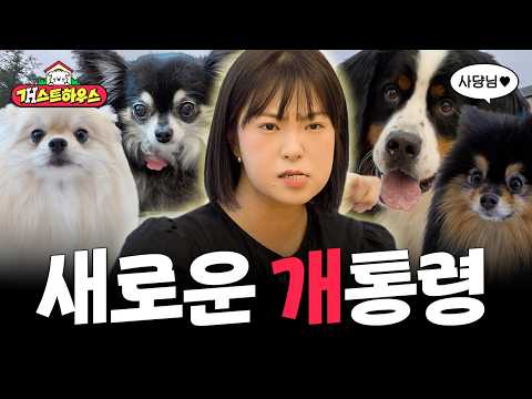 이 강아지는 제 겁니다. 또또와 12마리 강아지ㄷㄷ | 개스트하우스 1화