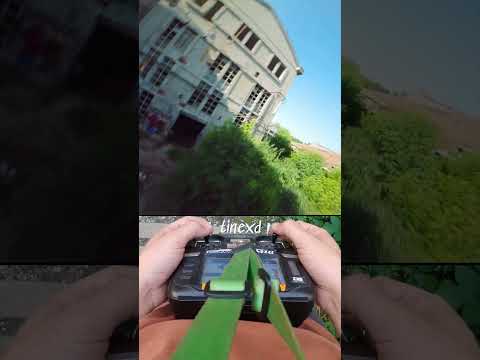 Little love tap🤙| #shorts