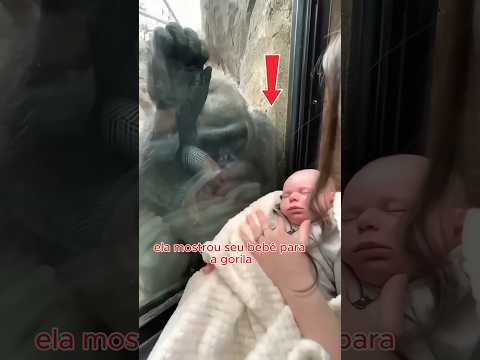 Quando duas mães se entendem sem palavras ❤️🐵
