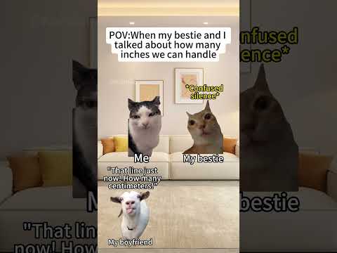 CAT MEMES๐ฑ When my bestie and I talked about how many inches we can handle#catmemes #memes #funny