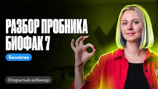 { video title here }
