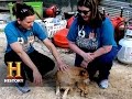 Willie's Health and Behavior Assessment