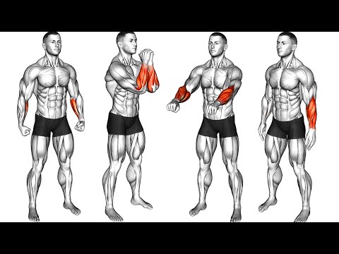 Do These Exercises to Build Your Forearms