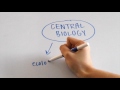 SAT Biology Test Preparation Strategies