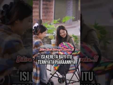 Isi Kereta Bayi Itu Ternyata Piaraannya