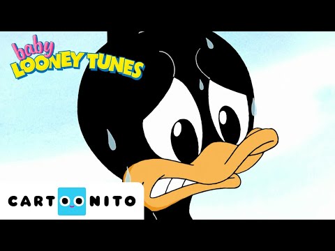 Daffy's in Big Trouble! | Baby Looney Tunes | @cartoonito