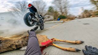 ANIMALS vs BIKERS | WHAT HAPPENS WHEN BIKERS AND ANIMALS MEET 2025