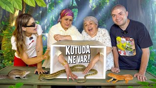 KUTUDA NE VAR? CESARETİ OLAN DOKUNSUN! 🤪