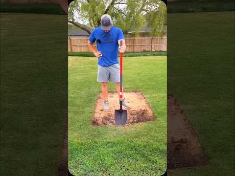 Problemas com a grama #viral #videoviral #shortsviral #gramado