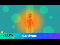 Balance and Grounding Exercises