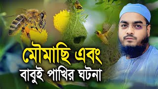 মৌমাছি এবং বাবুই পাখির ঘটনা। হাফিজুর রহমান সিদ্দিকী কুয়াকাটা Hafizur rahman siddiki Waz