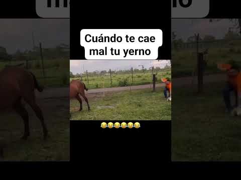 3 de febrero de 2025