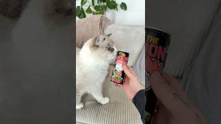 Baloo si vyberá Moon Drink 🐱 #shorts