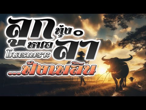 รวมเพลงลูกทุ่งหมอลำ โคตรเพราะ...ฟังเพลิน