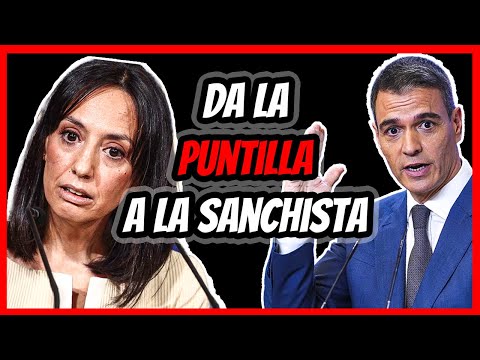 ¡¡MÁXIMA TENSIÓN!! FILTRA EL SUMARIO, DESTROZA A PEDRO SÁNCHEZ ?Y LE QUITAN LA CHULERÍA?