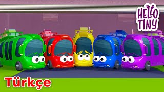 Beş Küçük Otobüs 🚌 | Bebekler için şarkılar | Hello Tiny Türkçe