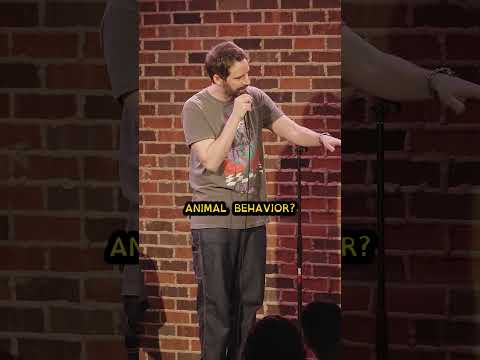 #standupcomedy #standup #comedian #jokes #crowdwork