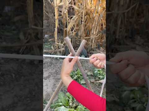 How to Tie a Rope on an Octagonal Frame #knowledge #knot #rope #technique