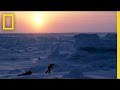 Challenges and Discoveries in Arctic Expeditions